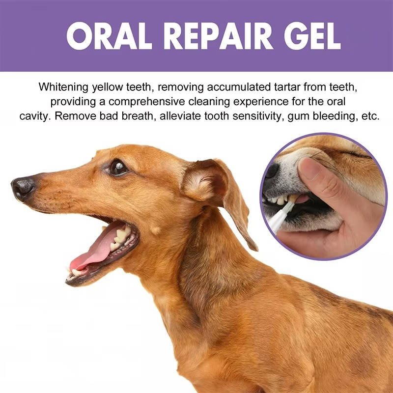 3 sæt oral reparationsgel til hunde 2