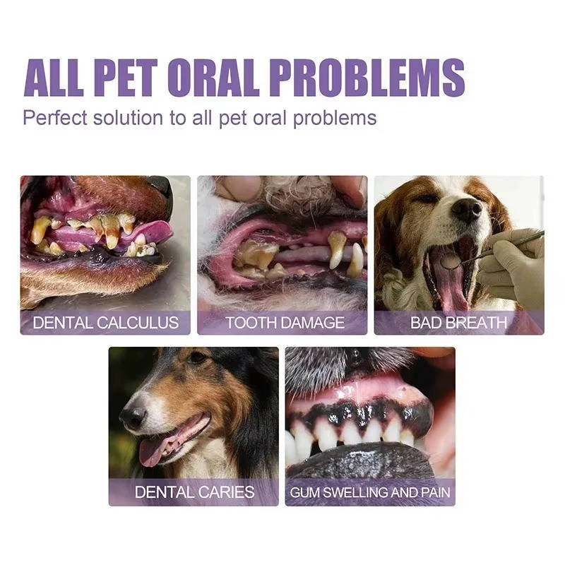 3 sæt oral reparationsgel til hunde 5
