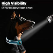 AirTag Hundehalsbånd 5