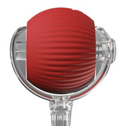 Aktiv rullebold med hale til hunde 6