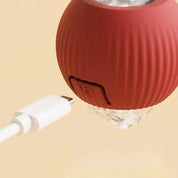 Aktiv rullebold med hale til hunde 7