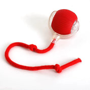 Aktiv rullebold med hale til hunde 8