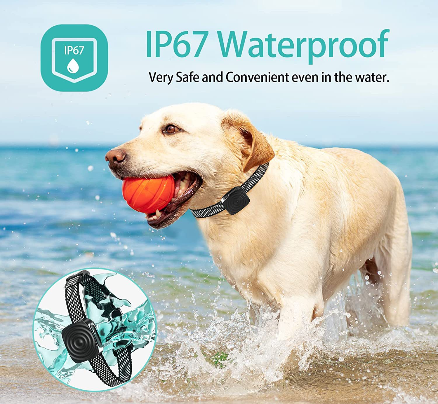 CalmPup | Anti-gø halsbånd til hunde med små og mellemstore racer – Blid lydtræning 3