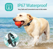 CalmPup | Anti-gø halsbånd til hunde med små og mellemstore racer – Blid lydtræning 3