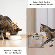 Forhøjet katteskål 3