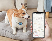 GPS-tracker til hunde | Lokaliseringshalsbånd 5