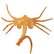 Horror gummi skræmmende halvansigt insektmaske - Halloween Alien ansigtskrammer kostume skorpionmaske fest cosplay rekvisitter 6