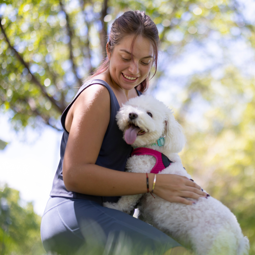 Hunde med hårdt gulv, enkelt sæde 1