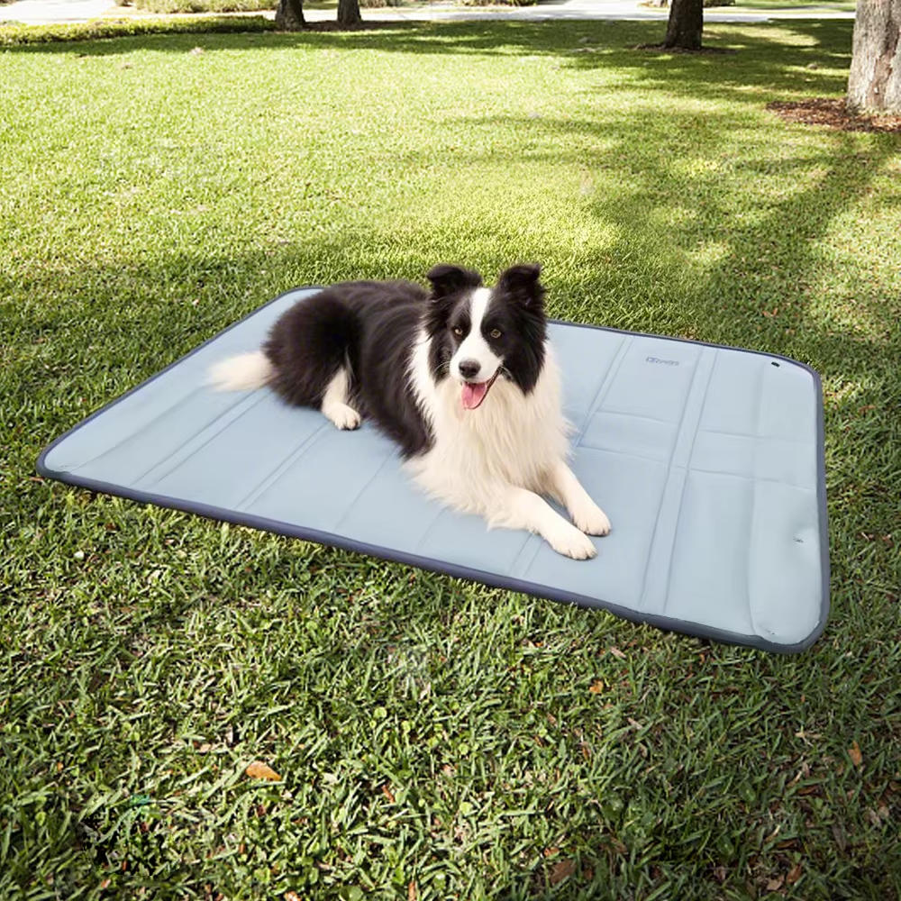 Hundetaske til rejser 2