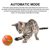 Interaktiv hundeboldlegetøj 2