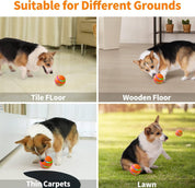 Interaktiv hundeboldlegetøj 7