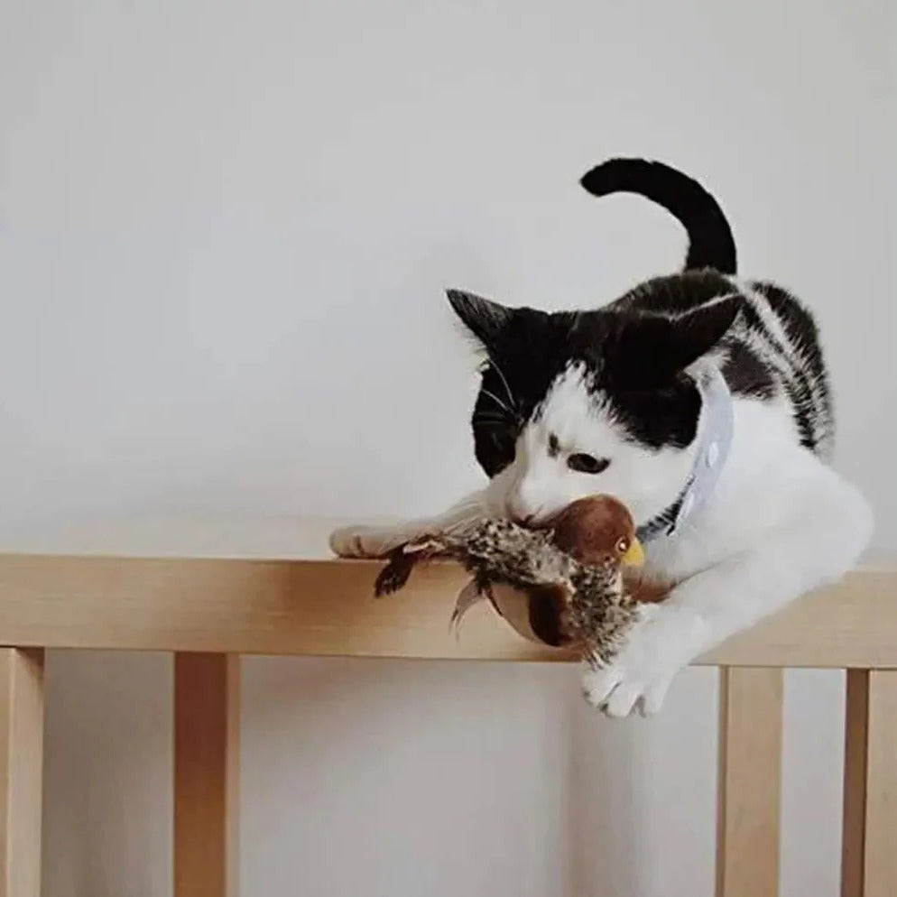 Interaktiv lydfuglekattelegetøj - flagrende fjersjov til indekatte 4