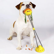 Interaktivt selvspillende kæledyrslegetøj 7