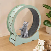 Kattetræningshjul 2