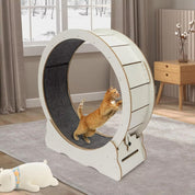 Kattetræningshjul 3