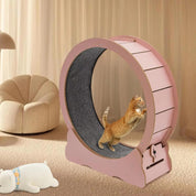 Kattetræningshjul 5