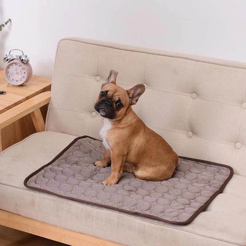 Kølepude til kæledyr 0