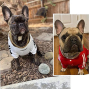 Kraftigt hundehalsbånd 2