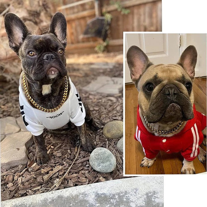 Kraftigt hundehalsbånd 2