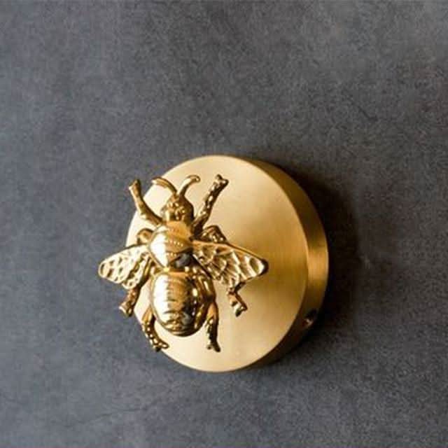 Messing Dyre Vægkrog med Guld Accenter 4