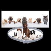 Parasitafvisende halsbånd til kæledyr 4