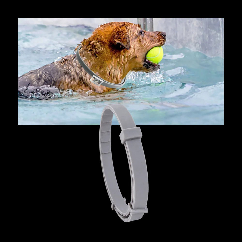 Parasitafvisende halsbånd til kæledyr 6