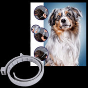 Parasitafvisende halsbånd til kæledyr 7