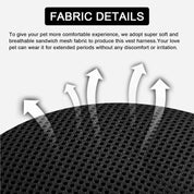 Reflekterende kattesele og snorsæt 3