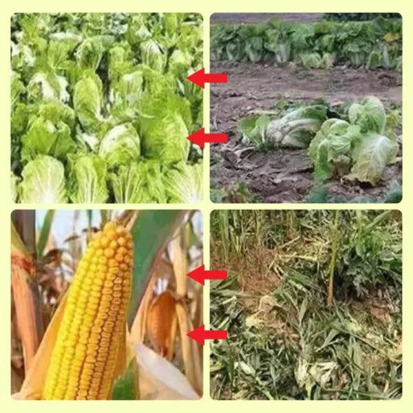 Solar advarselslamper til dyreafvisende formål 2