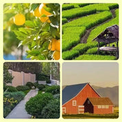 Solar advarselslamper til dyreafvisende formål 3