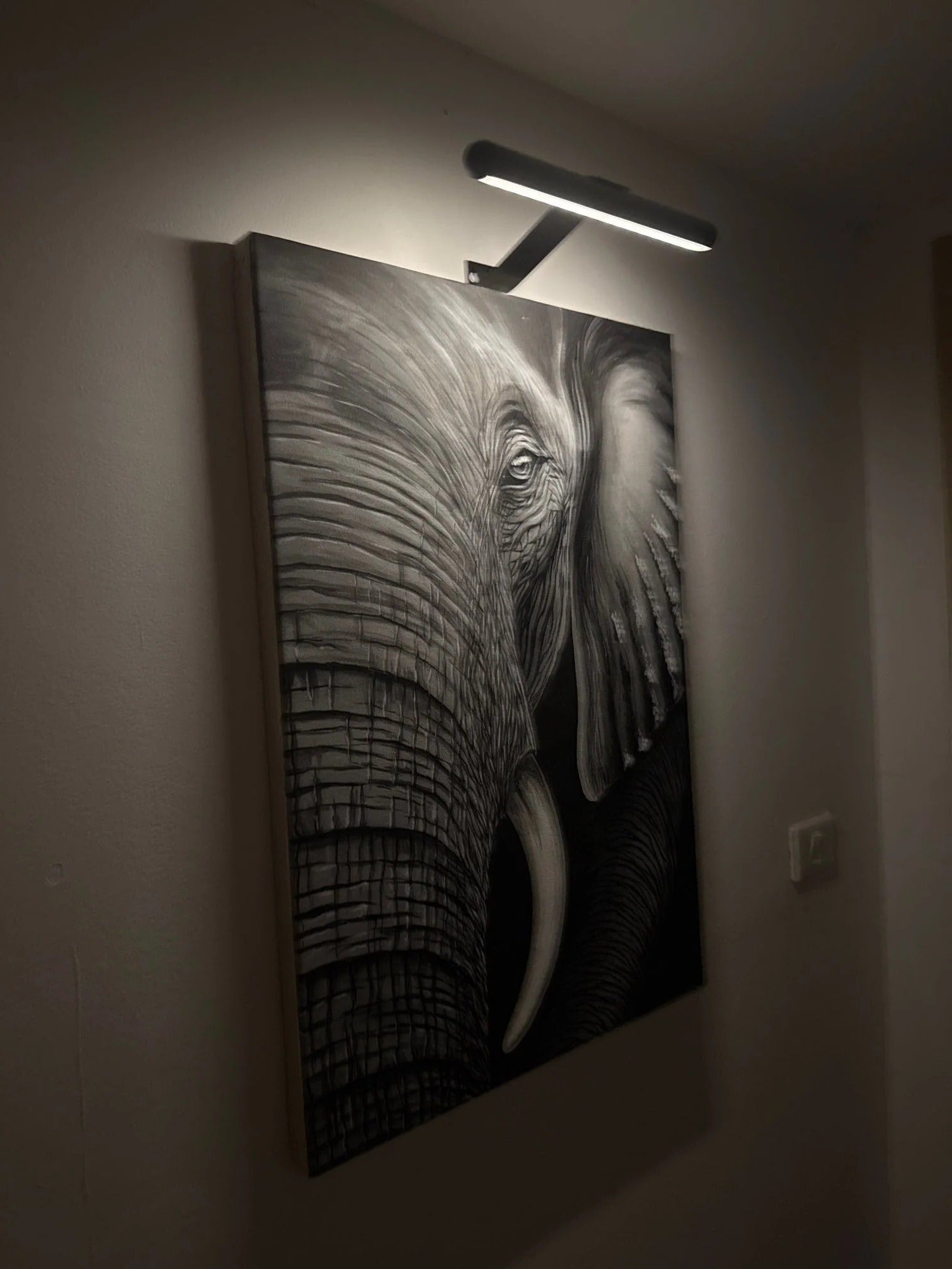 Trådløs LED-billedlampe 3