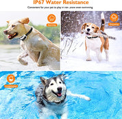 Trådløst hundehegn med halsbånd 2